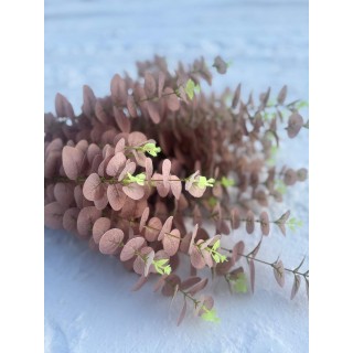 KWIAT SZTUCZNY EUKALIPTUS