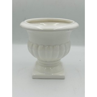 GAZON POŁYSK BIAŁY