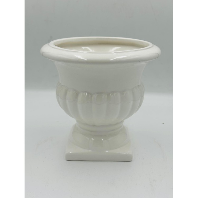 GAZON POŁYSK BIAŁY