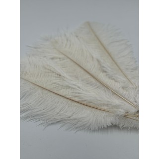 PIÓRO ECRI 10SZT/OPAKOWANIE