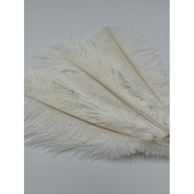 PIÓRO ECRI 10SZT/OPAKOWANIE