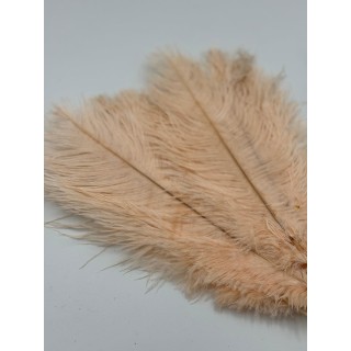 PIÓRO BEŻ 10SZT/OPAKOWANIE