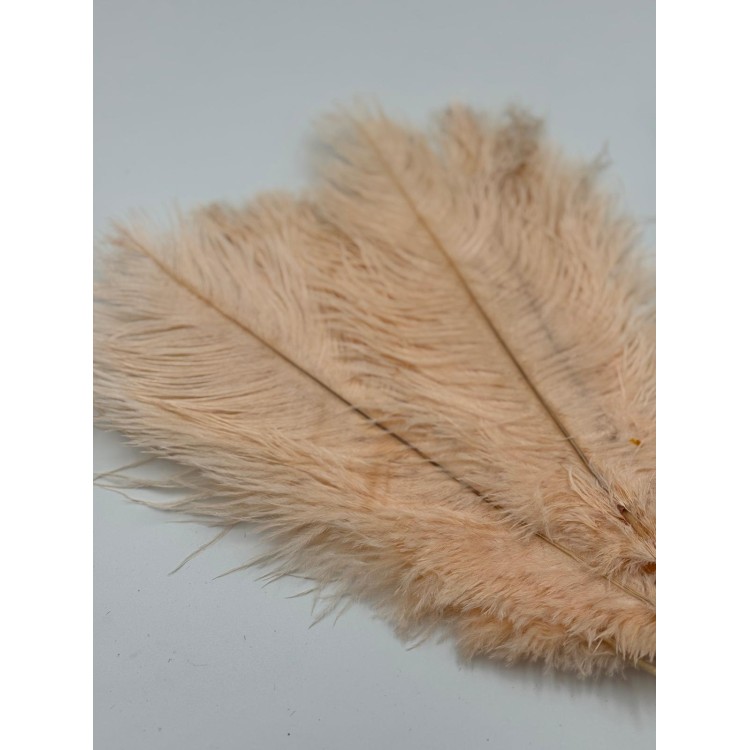 PIÓRO BEŻ 10SZT/OPAKOWANIE