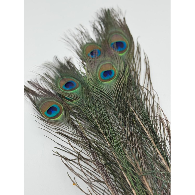 PIÓRA PAWIE 10szt /OPAKOWANIE